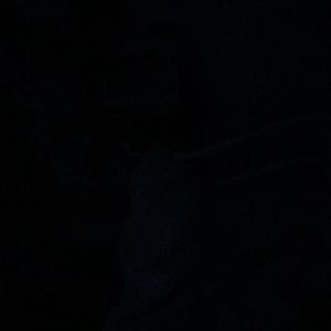 Meet your Posher, Alanna